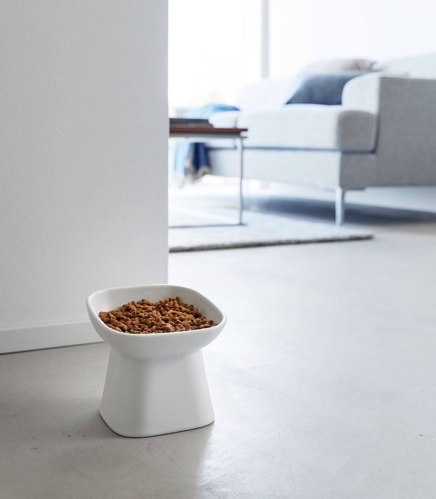 Angle. Yamazaki Home - Tilted Pet Food Bowl - White.