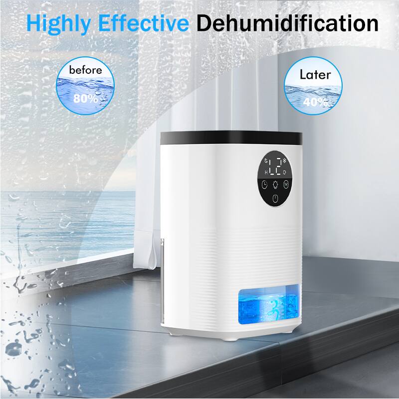 Highly Effective Dehumidification

before 80%

Later 40%