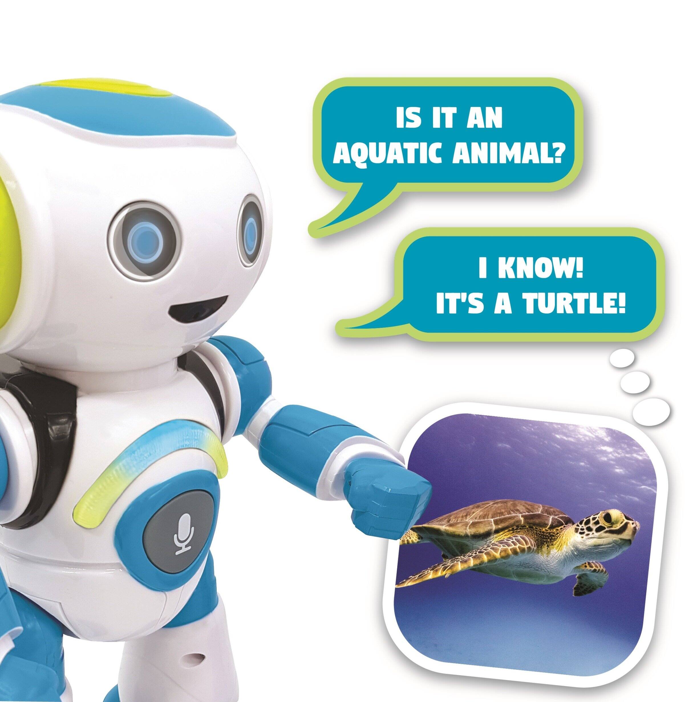 IS IT AN AQUATIC ANIMAL?  
I KNOW! IT'S A TURTLE!