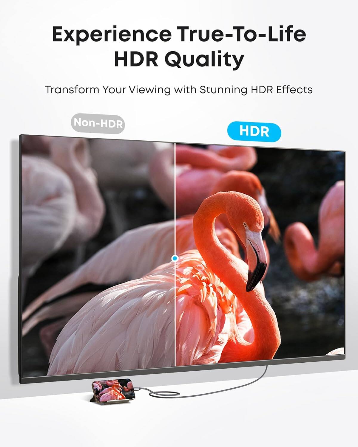 Experience True-To-Life HDR Quality

Transform Your Viewing with Stunning HDR Effects

Non-HDR

HDR