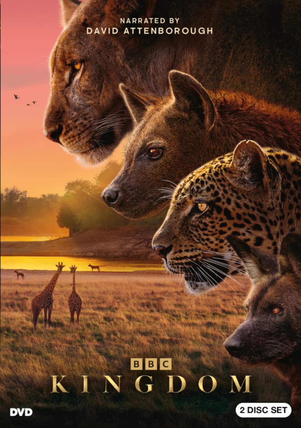 Kingdom   - DVD price history on PriceWatchPro