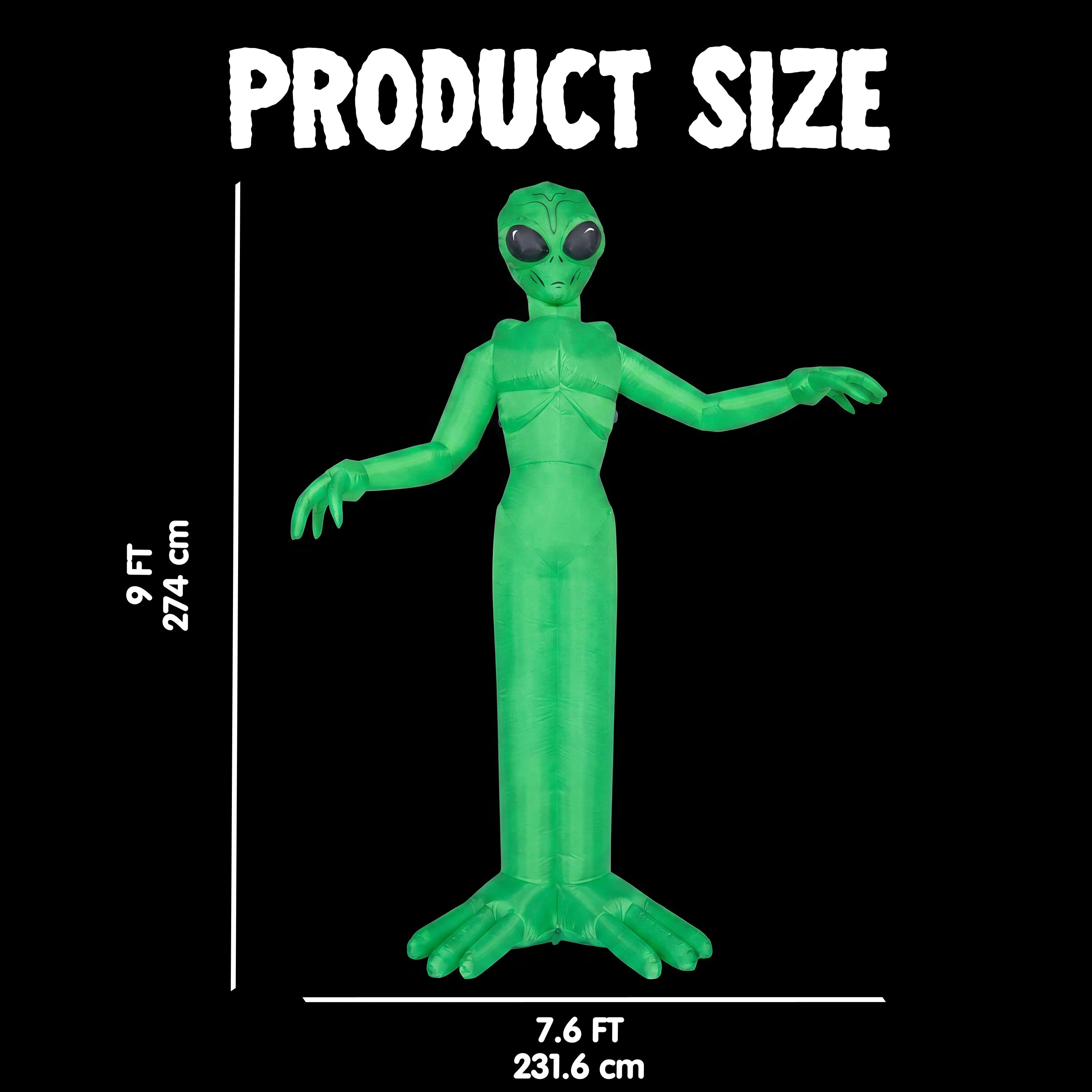 PRODUCT SIZE

9 FT 274 cm

7.6 FT 231.6 cm
