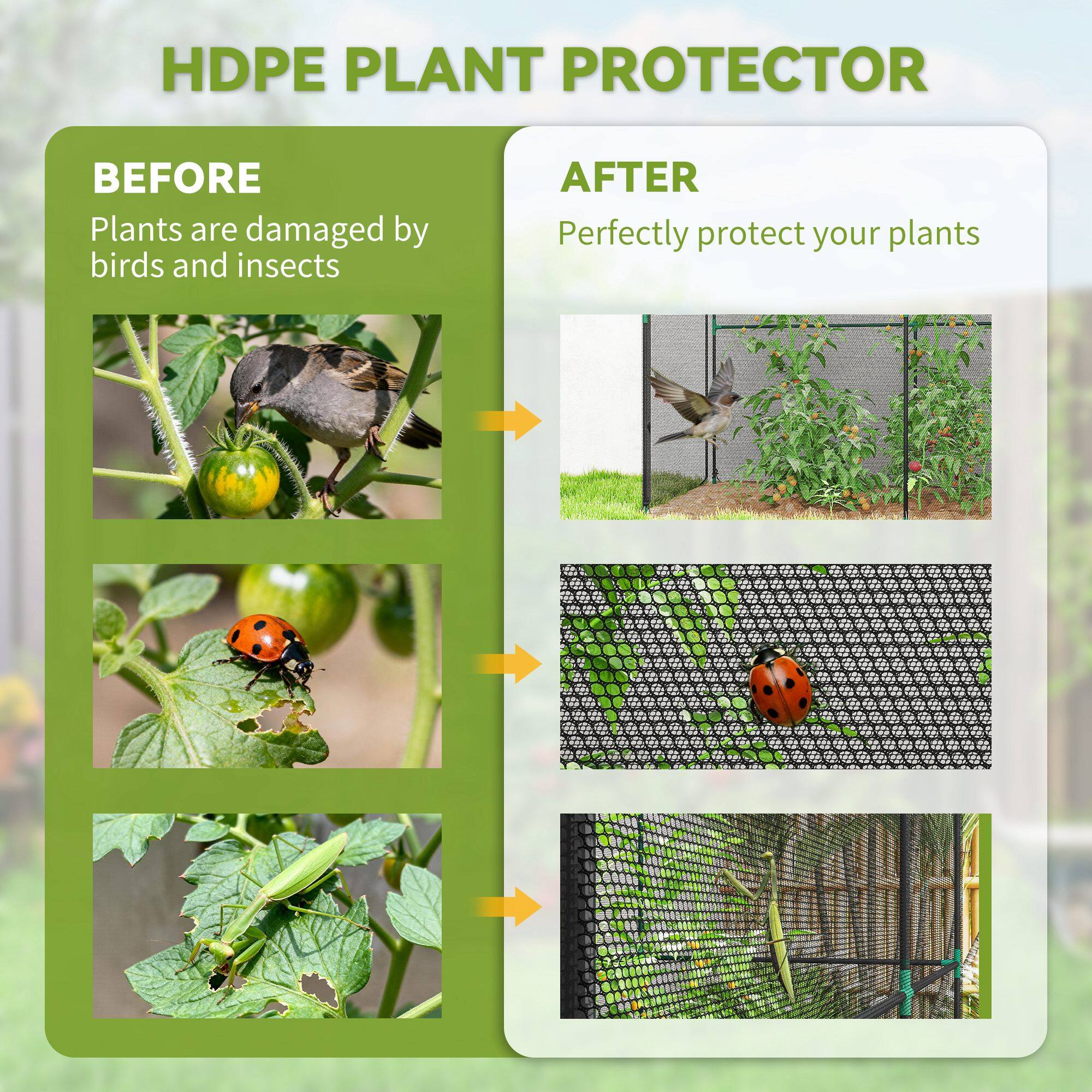 HDPE PLANT PROTECTOR

BEFORE  
Plants are damaged by birds and insects

AFTER  
Perfectly protect your plants