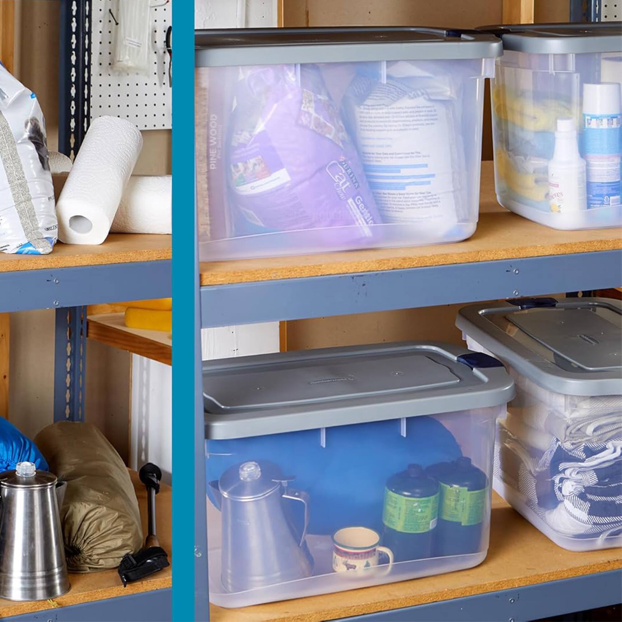 WOOD PINE 2 ACINUE CROW GENTLE