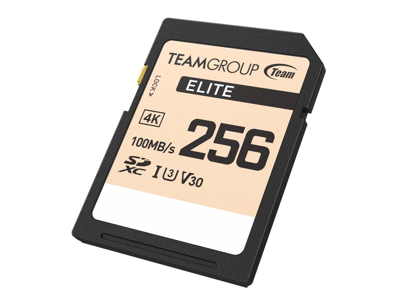 TEAMGROUP Team ELITE V 4K 256GB 100MB/s I3 V30