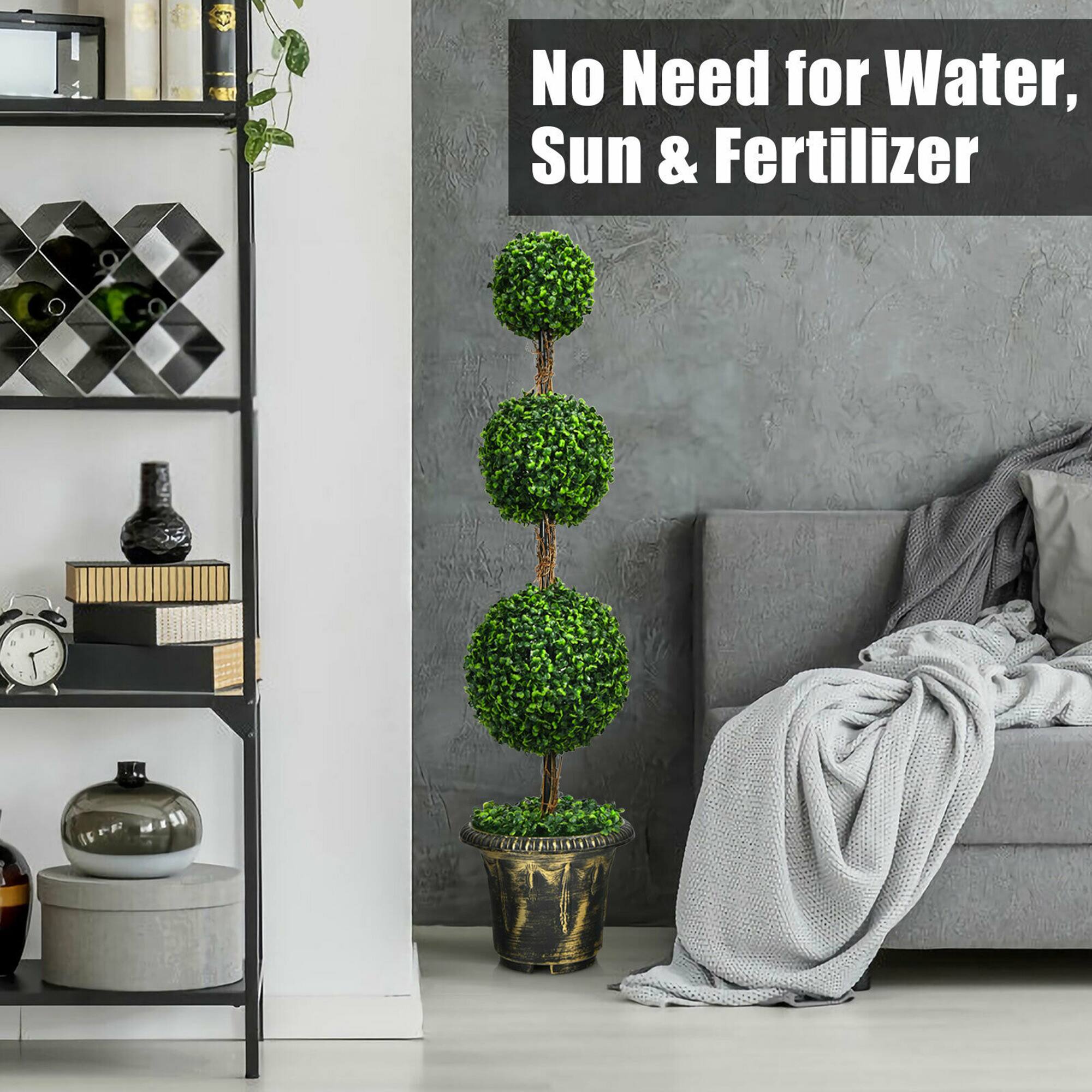No Need for Water, Sun & Fertilizer