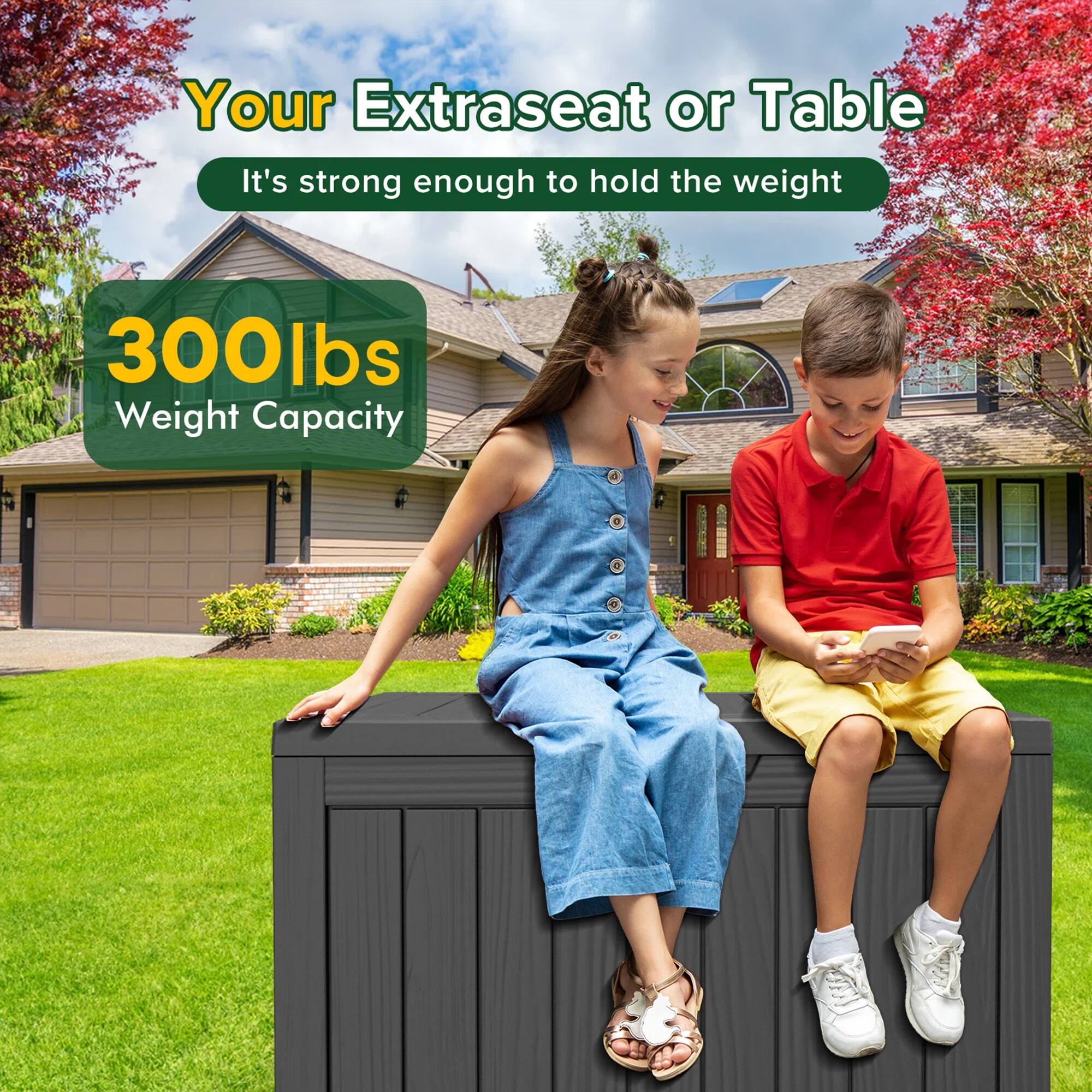 Your Extrasat or Table  
It's strong enough to hold the weight  

300lbs  
Weight Capacity