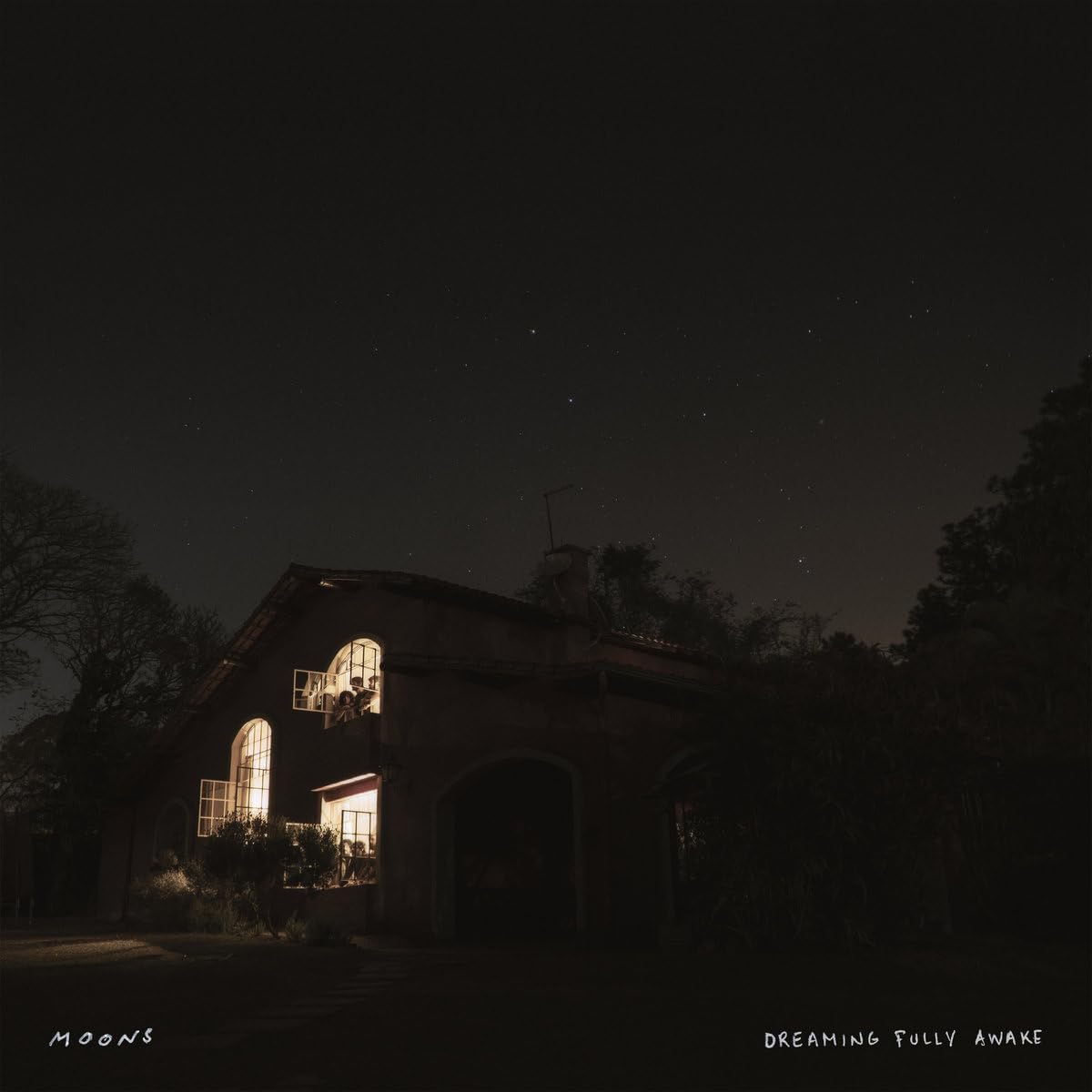 Dreaming Fully Awake [LP] [VINYL]