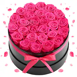VEVOR - Forever Flowers, 27 Preserved Roses in a Box, Eternal Flowers Immortal Bouquet Birthday Present for Delivery Prime Women - Pink, Black