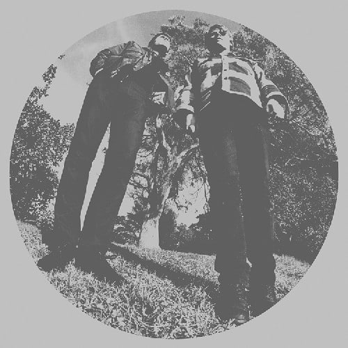 Ty Segall - Hair   - COMPACT DISCS [CD] price history on PriceWatchPro