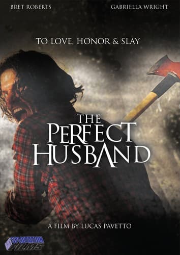The Perfect Husband  - DVD