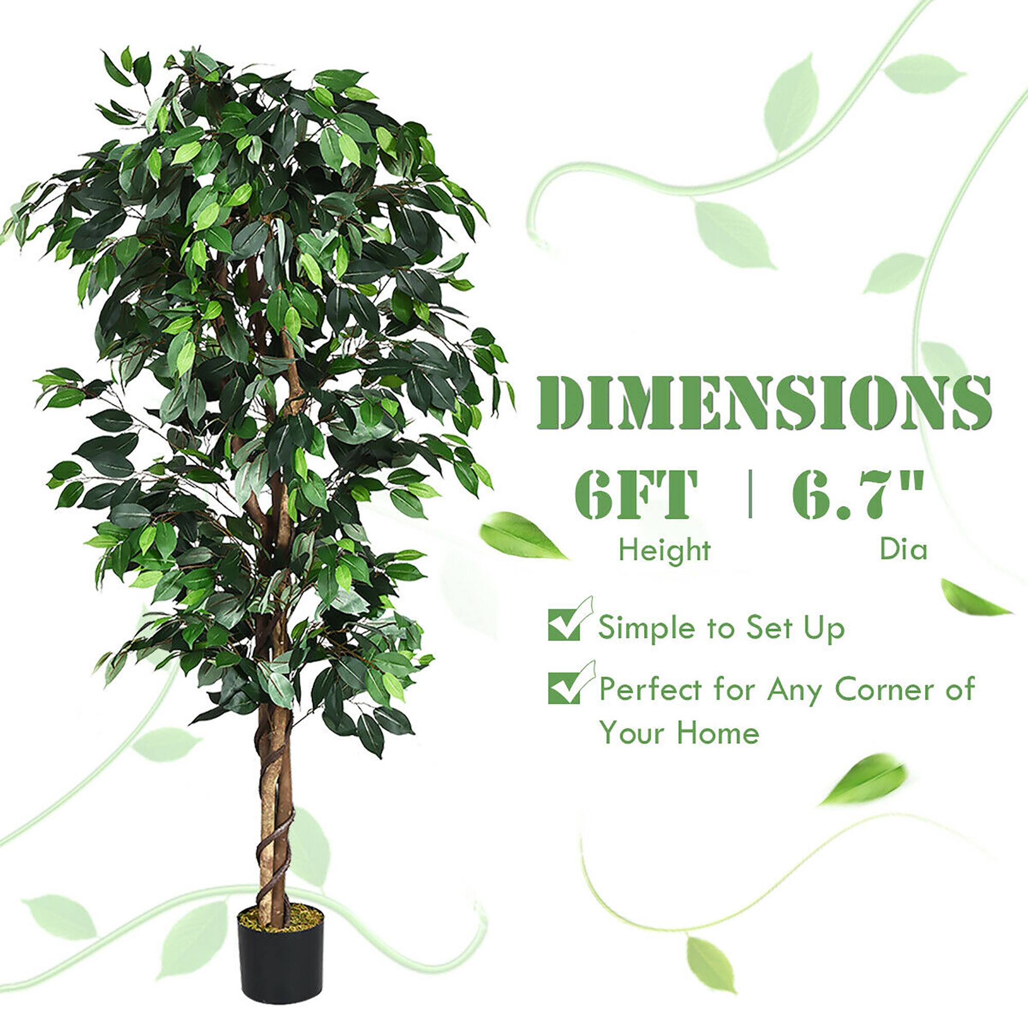 DIMENSIONS: 6 FT | 6.7" Height Dia

- Simple to Set Up
- Perfect for Any Corner of Your Home