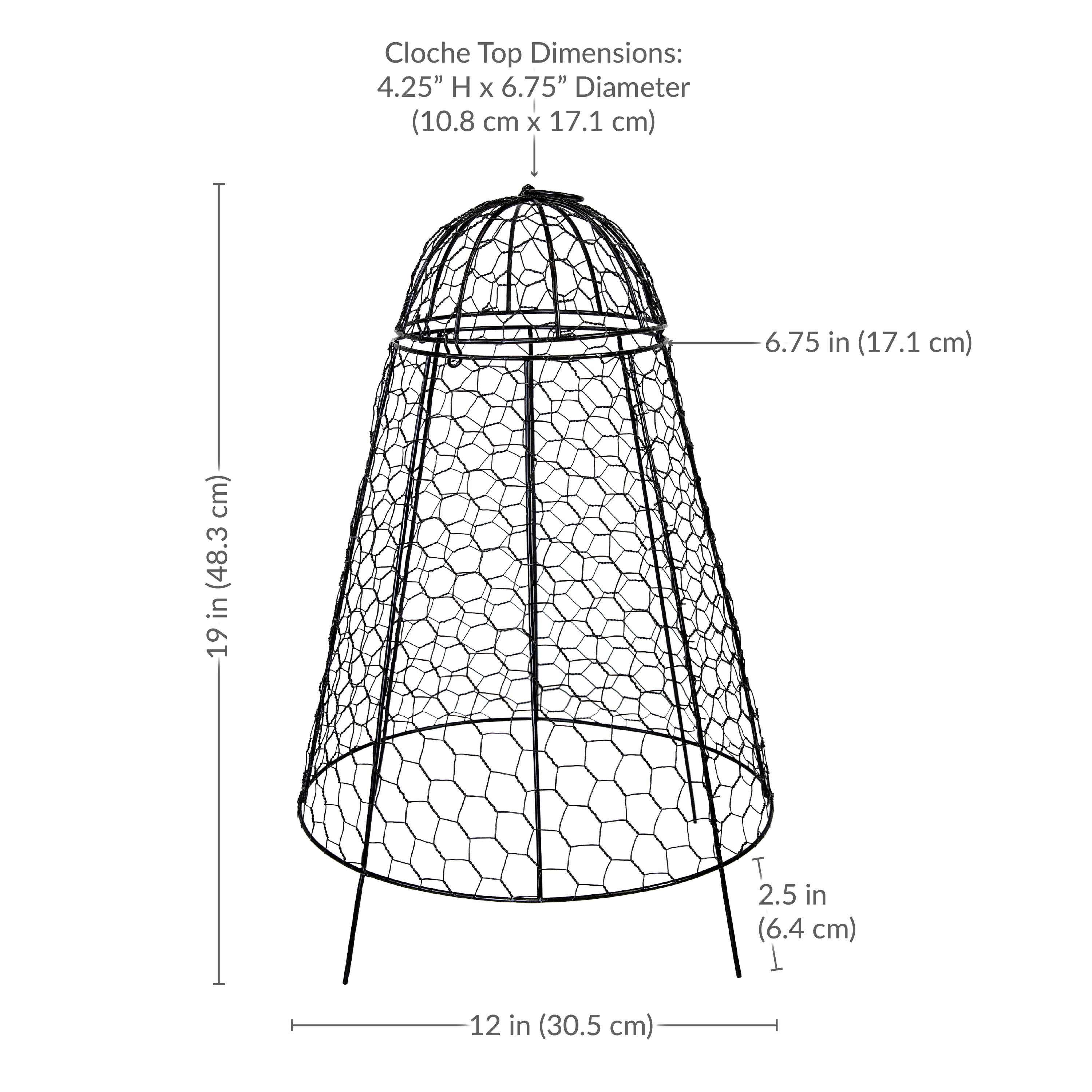 Cloche Top Dimensions:
4.25" H x 6.75" Diameter (10.8 cm x 17.1 cm)

19 in (48.3 cm) Height

12 in (30.5 cm) Base Diameter

2.5 in (6.4 cm) Base Thickness