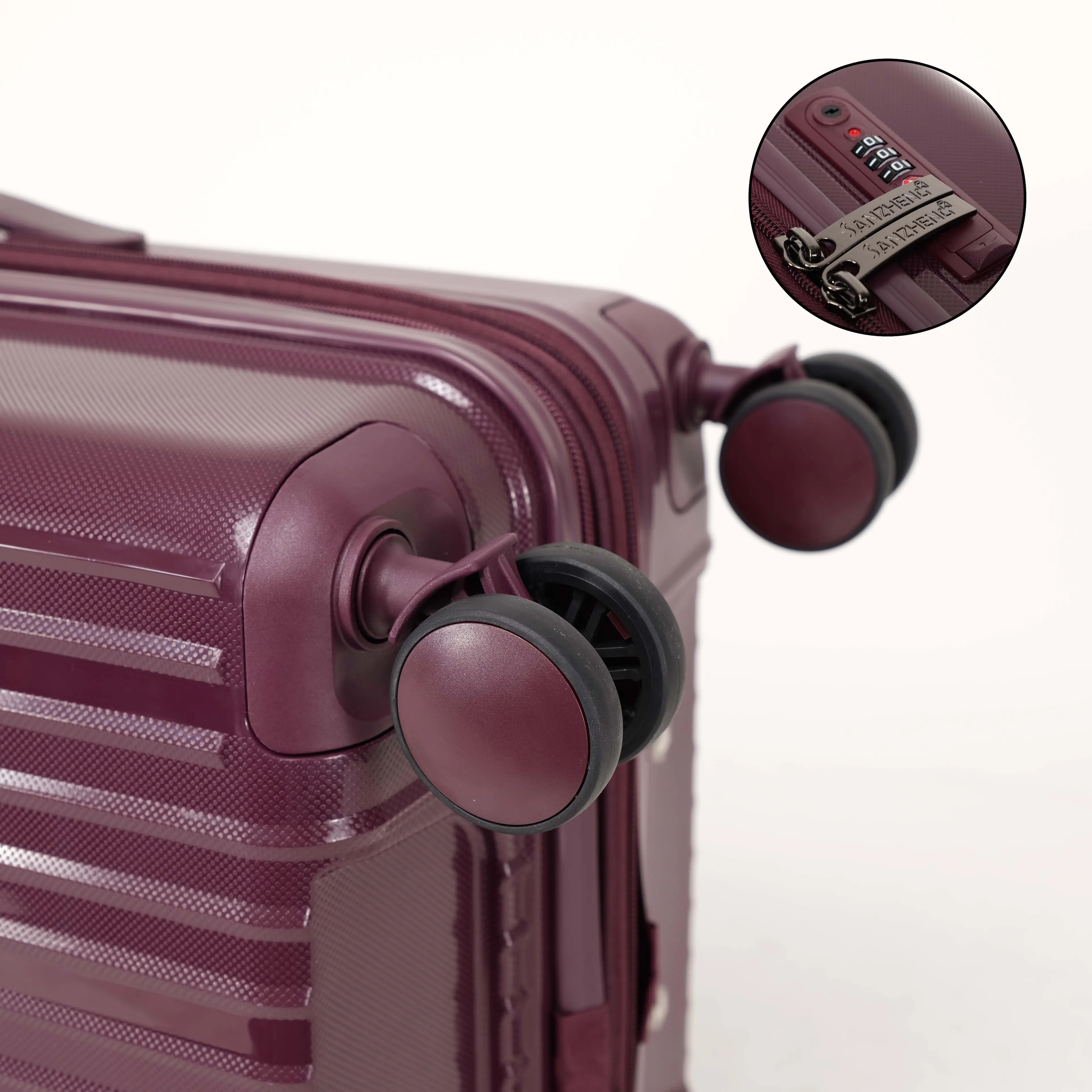 DI 10 OI SANIZHENG SAIIZHENG P

The text on the image is:

"DI 10 OI SANIZHENG SAIIZHENG P"