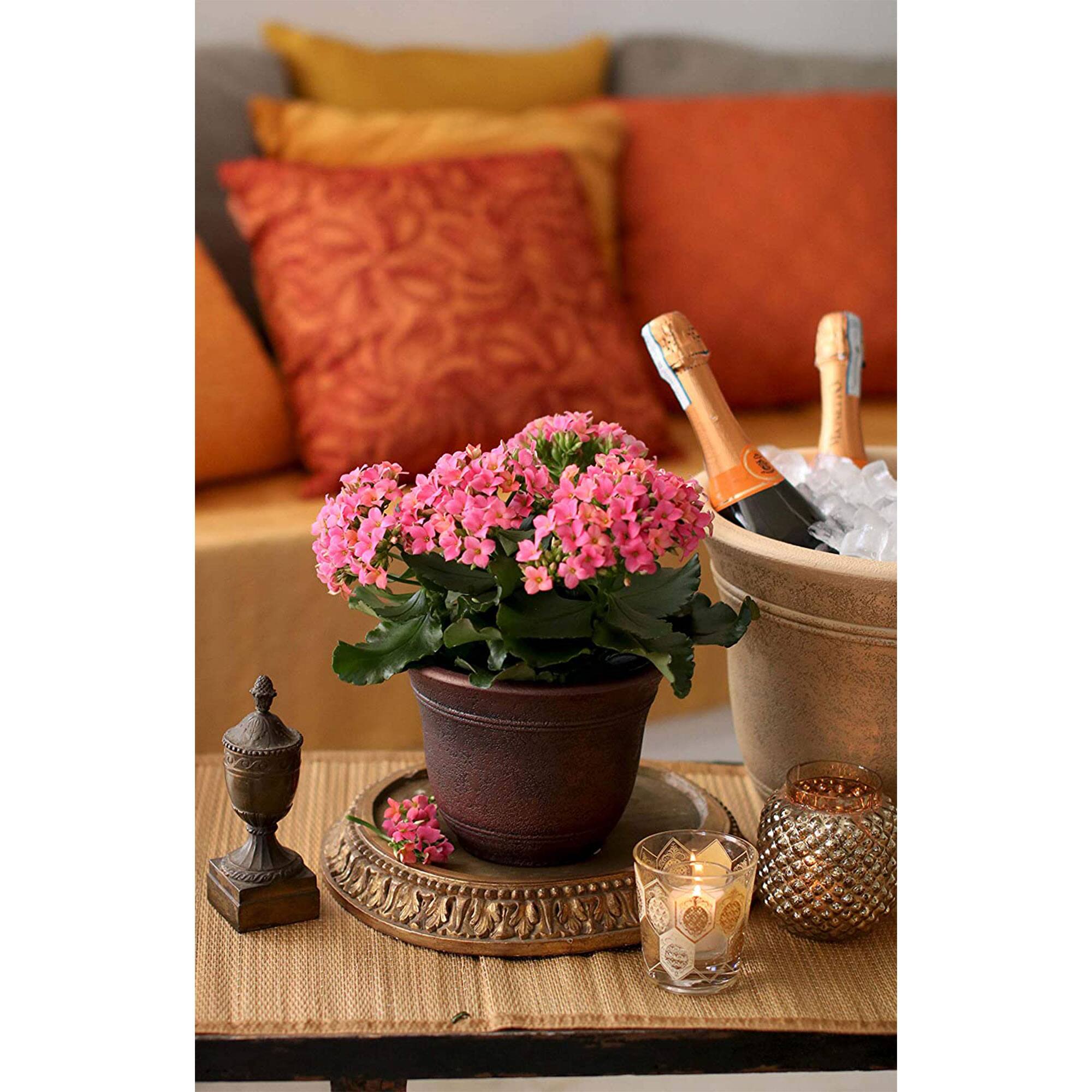 Alt View 10. Listo - HC Companies 13-Inch Wide Sierra Planter Round Plastic Planter, Nordic Bronze - Celtic Bronze.