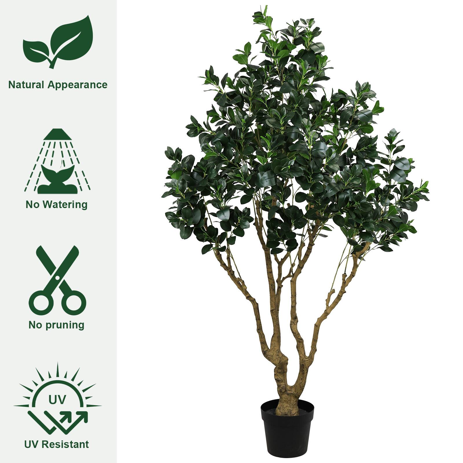 - Natural Appearance
- No Watering
- No pruning
- UV Resistant