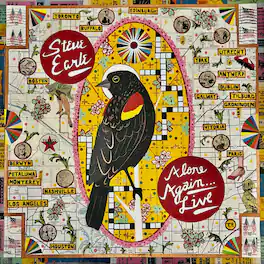 Steve Earle - Alone Again (live) - VINYL LP