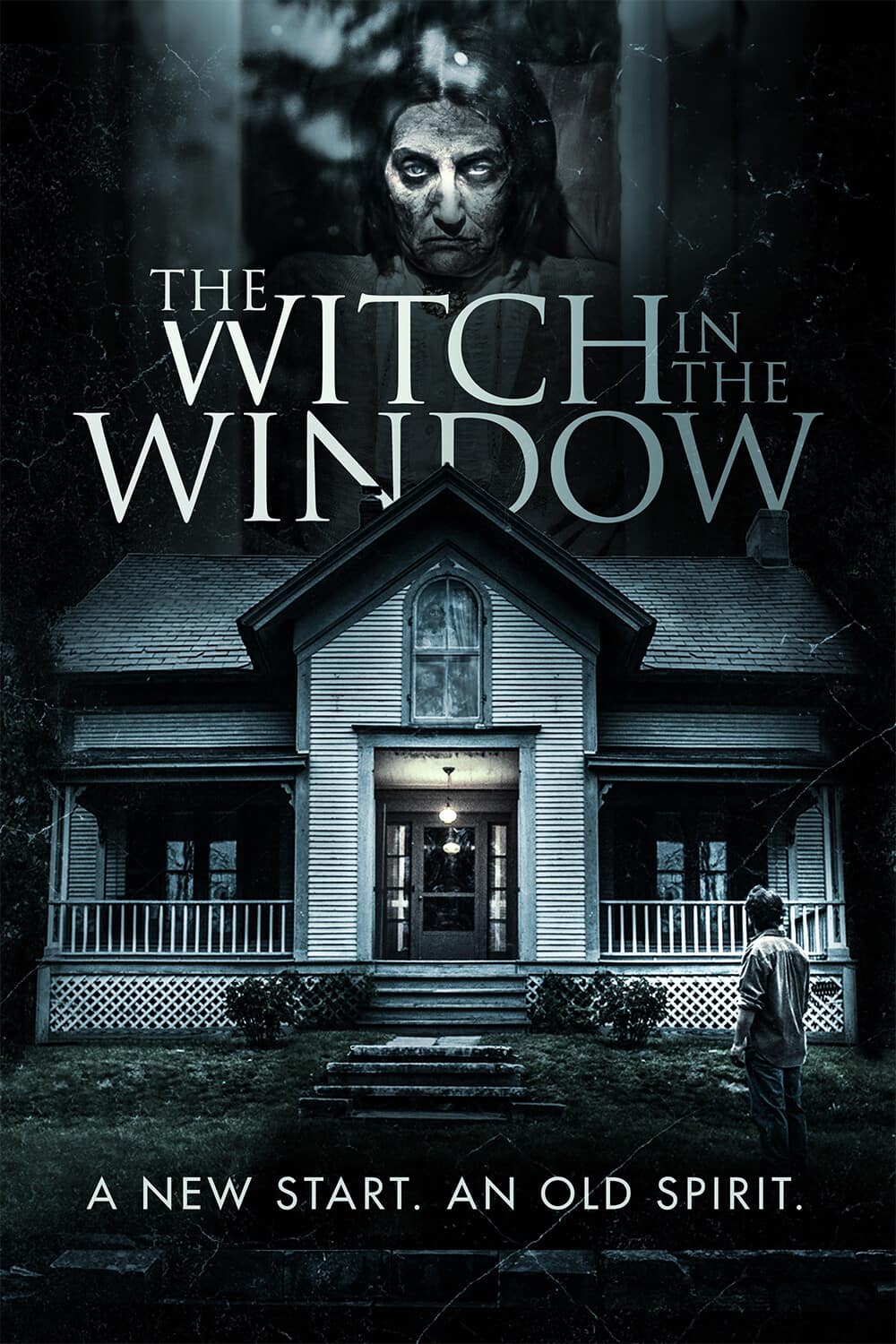 The Witch in the Window   - DVD price history on PriceWatchPro
