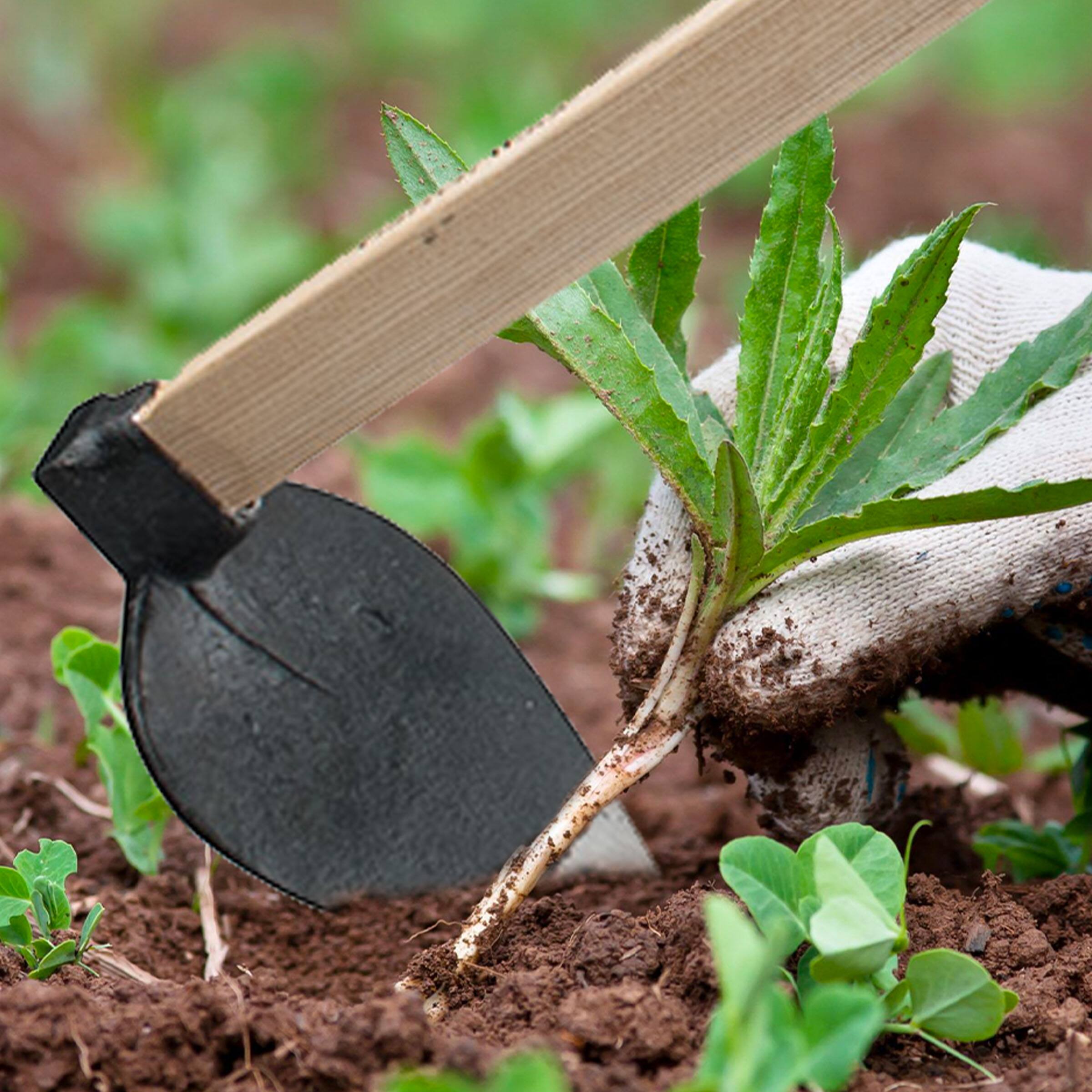 Left. Kings County Tools - Hoe Garden Tool 41” Heart-Shaped Steel Garden Hoe with European Ash Wood Handle Heavy Duty Multipurpose Gardening Tools.