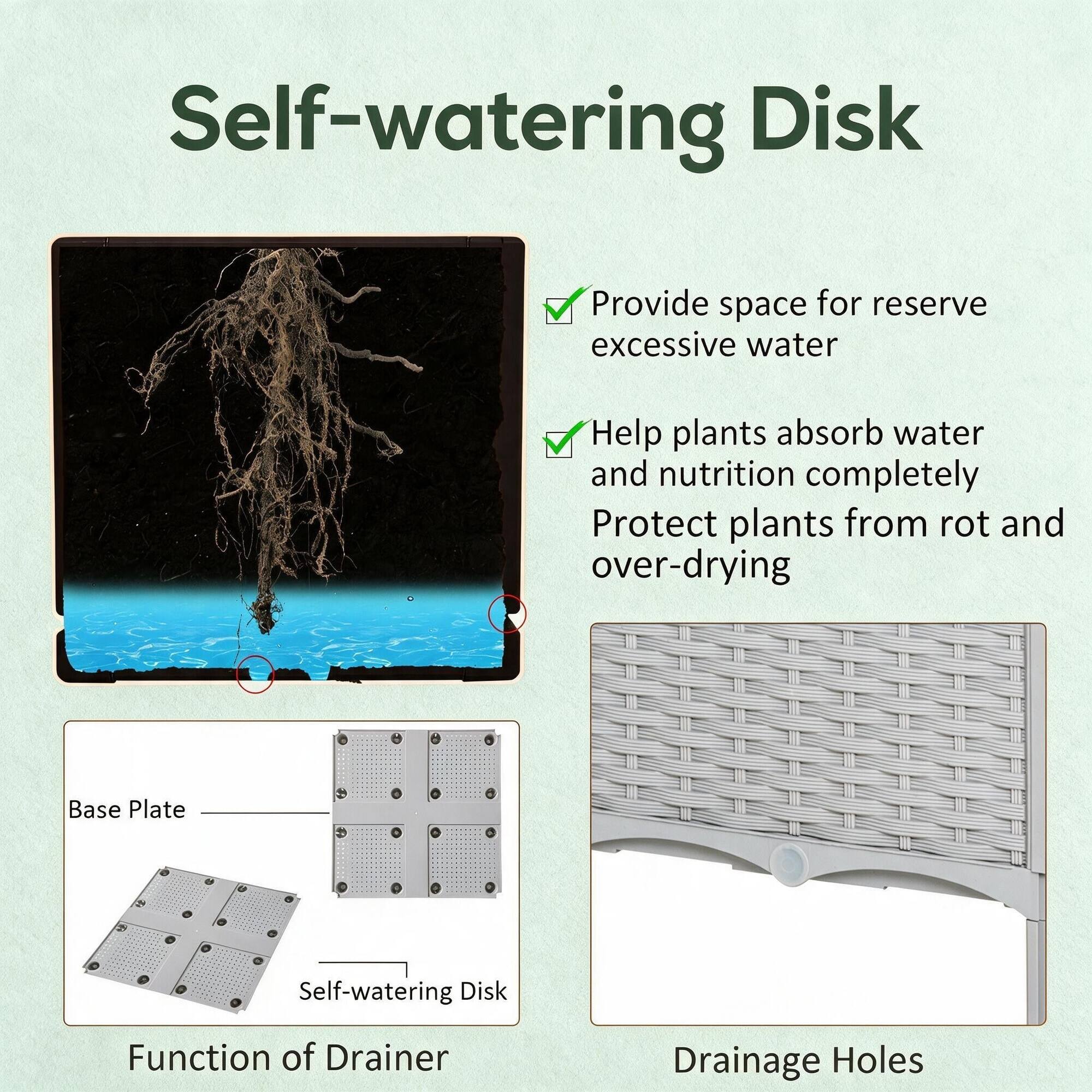 Self-watering Disk

- Provide space for reserve excessive water
- Help plants absorb water and nutrition completely
- Protect plants from rot and over-drying

Base Plate

Self-watering Disk

Function of Drainer

Drainage Holes