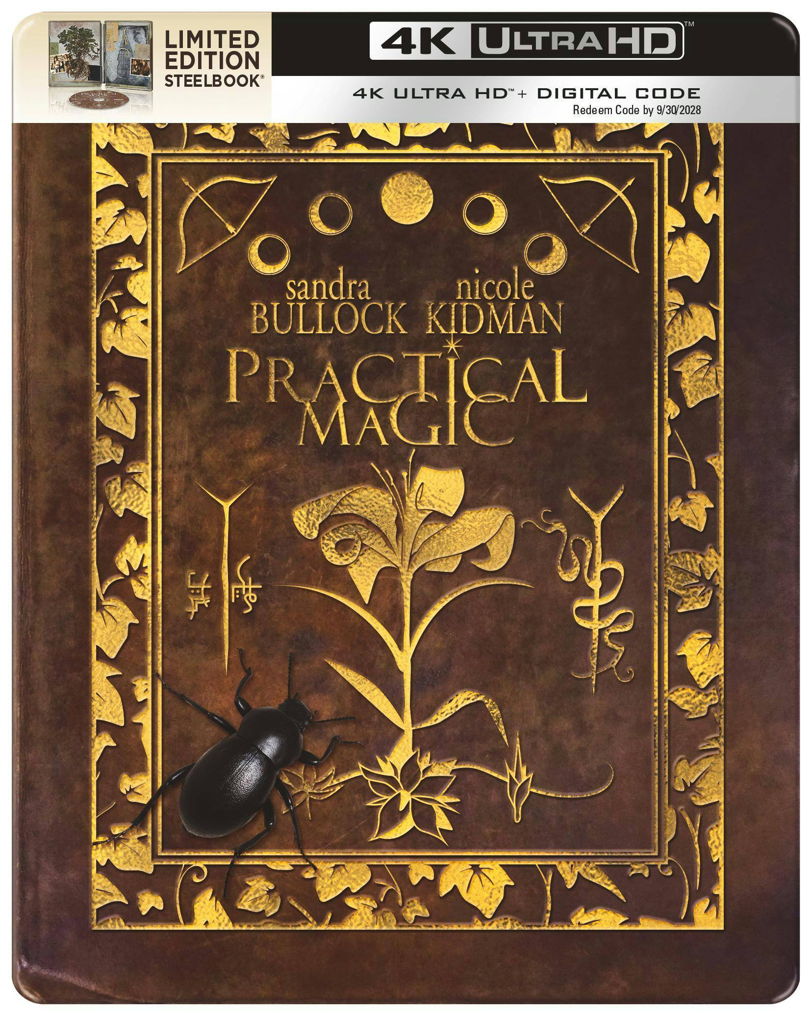 Angle. Practical Magic (Steelbook)   - 4K Blu-Ray.