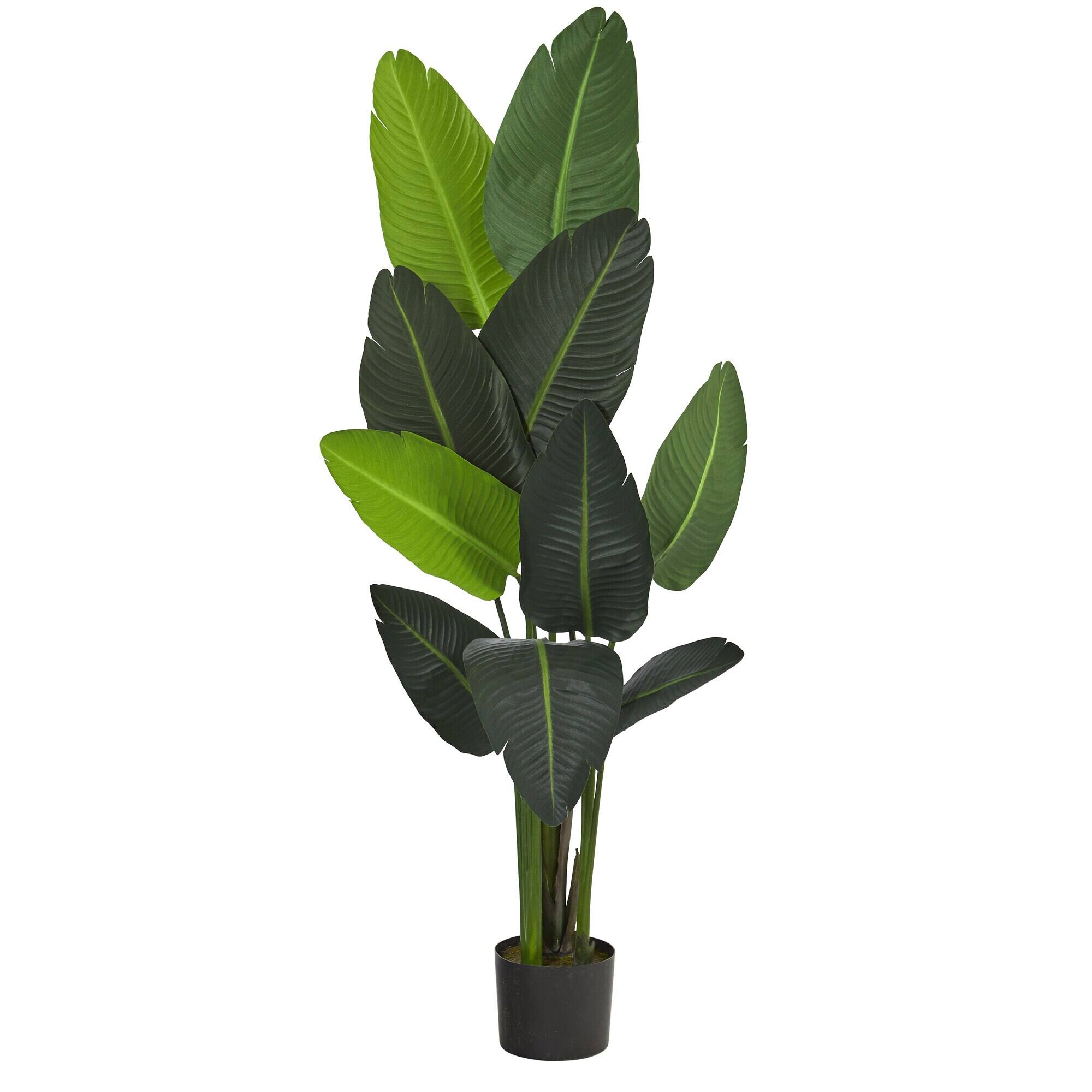 Front. BreeBe - 58" Traveler's Palm Artificial tree - Green.