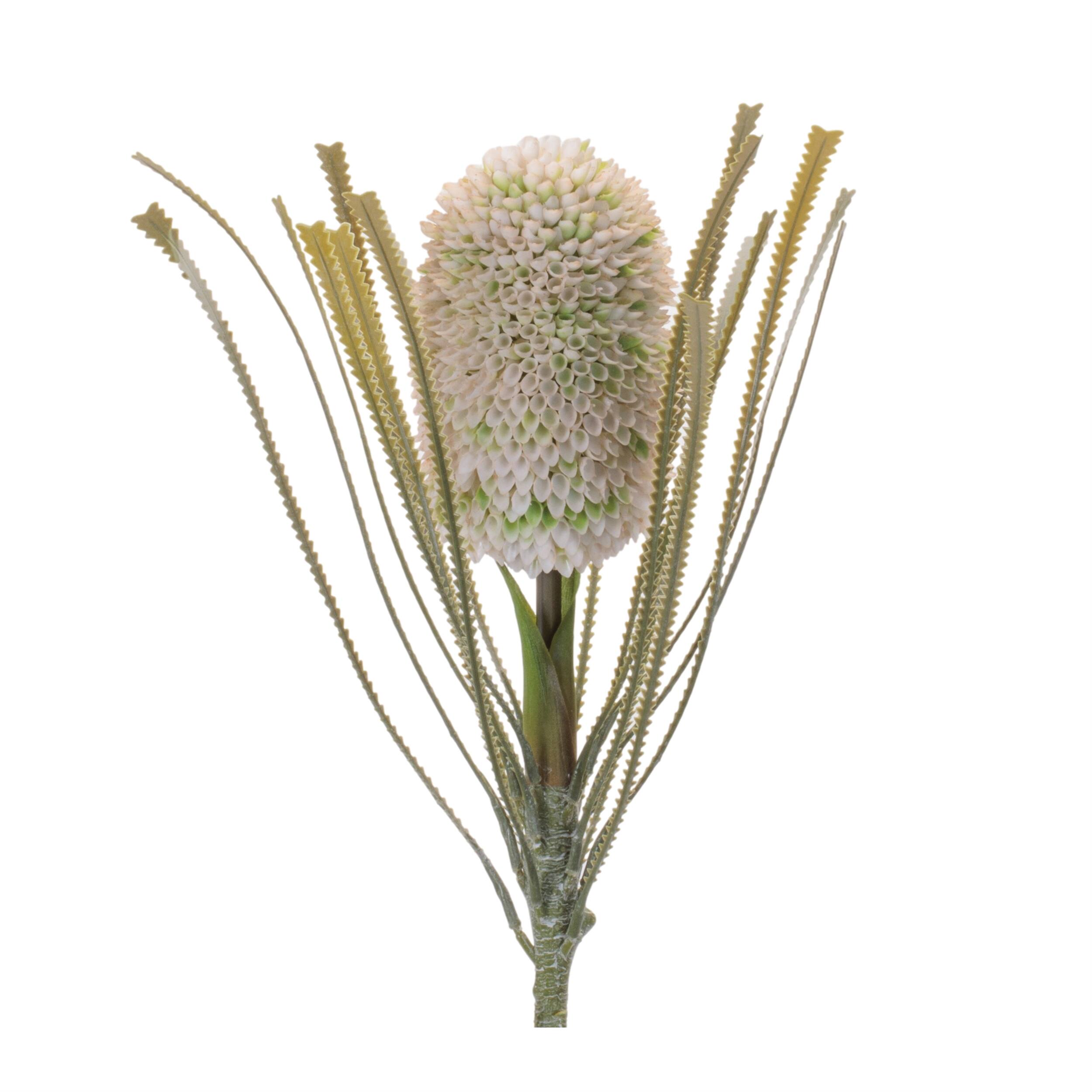 Left. BreeBe - Protea Floral Stem (Set of 2) - Green.