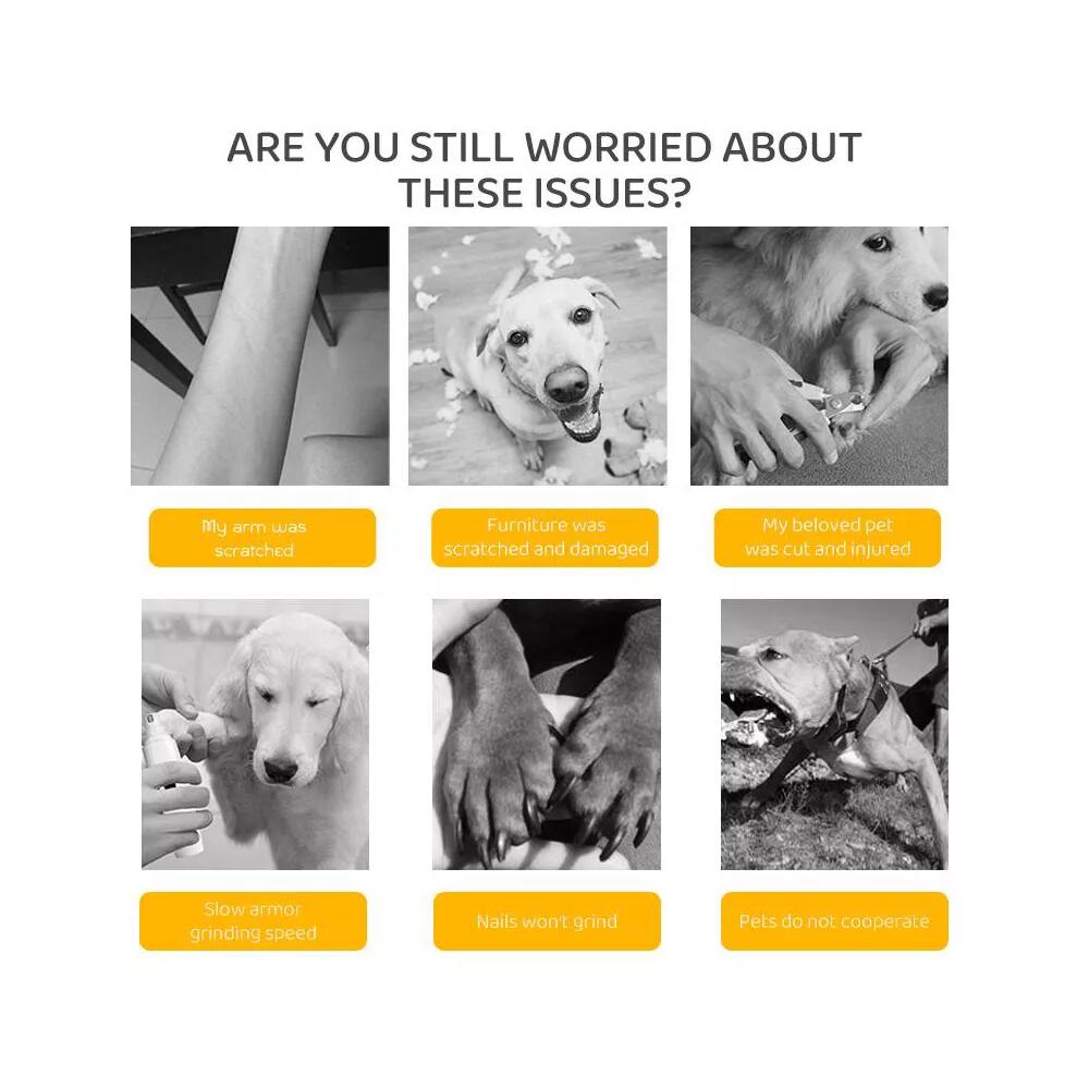 My arm was scratched, Furniture was scratched and damaged, My beloved pet was cut and injured, Slow armor grinding speed, Nails won't grind, Pets do not cooperate