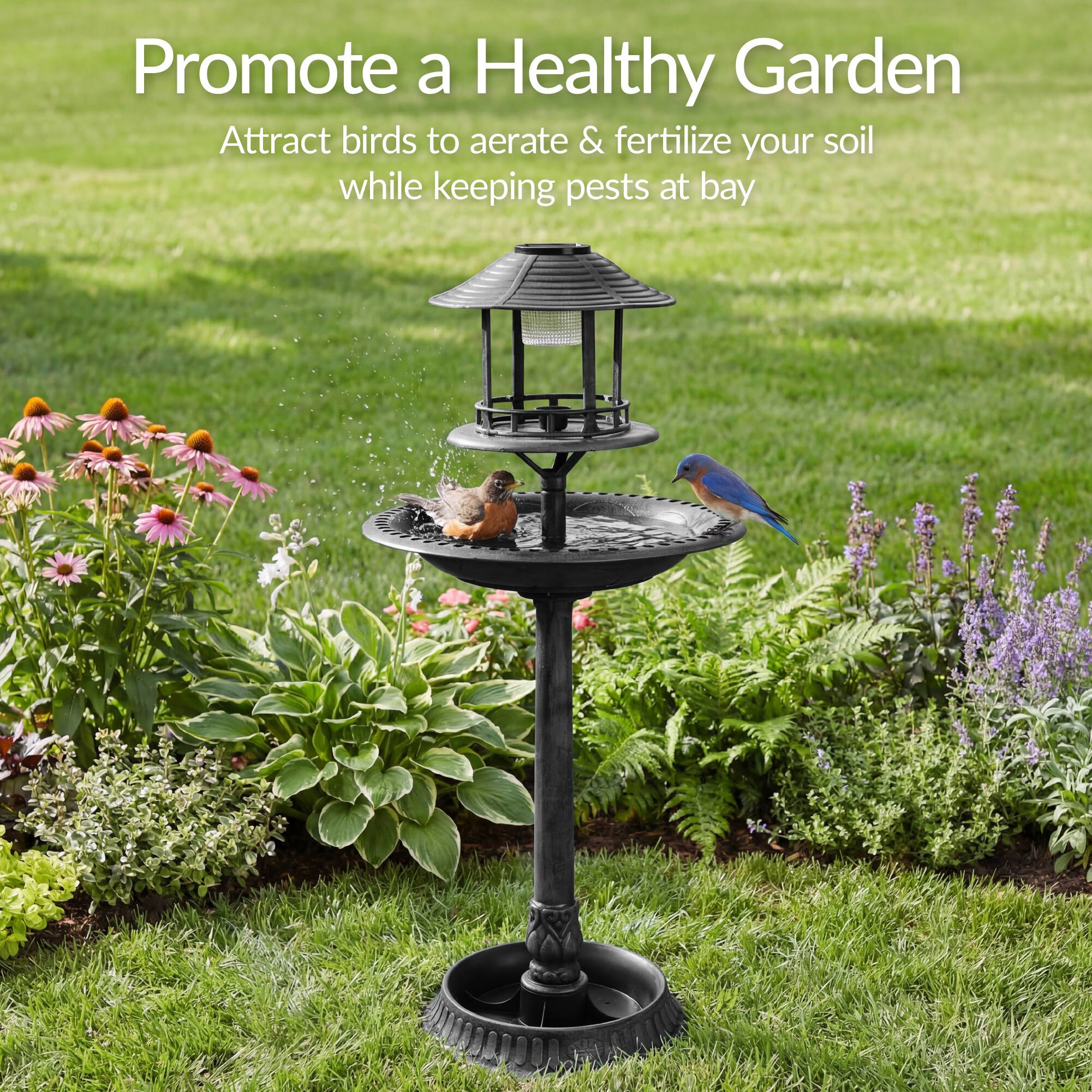 Promote a Healthy Garden  
Attract birds to aerate & fertilize your soil while keeping pests at bay