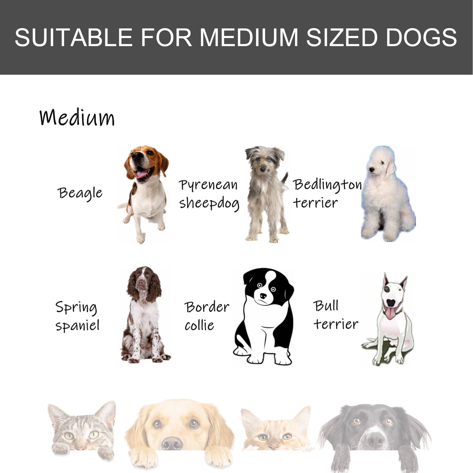 SUITABLE FOR MEDIUM SIZED DOGS

Medium

- Beagle
- Pyrenean sheepdog
- Bedlington terrier
- Spring spaniel
- Border collie
- Bull terrier