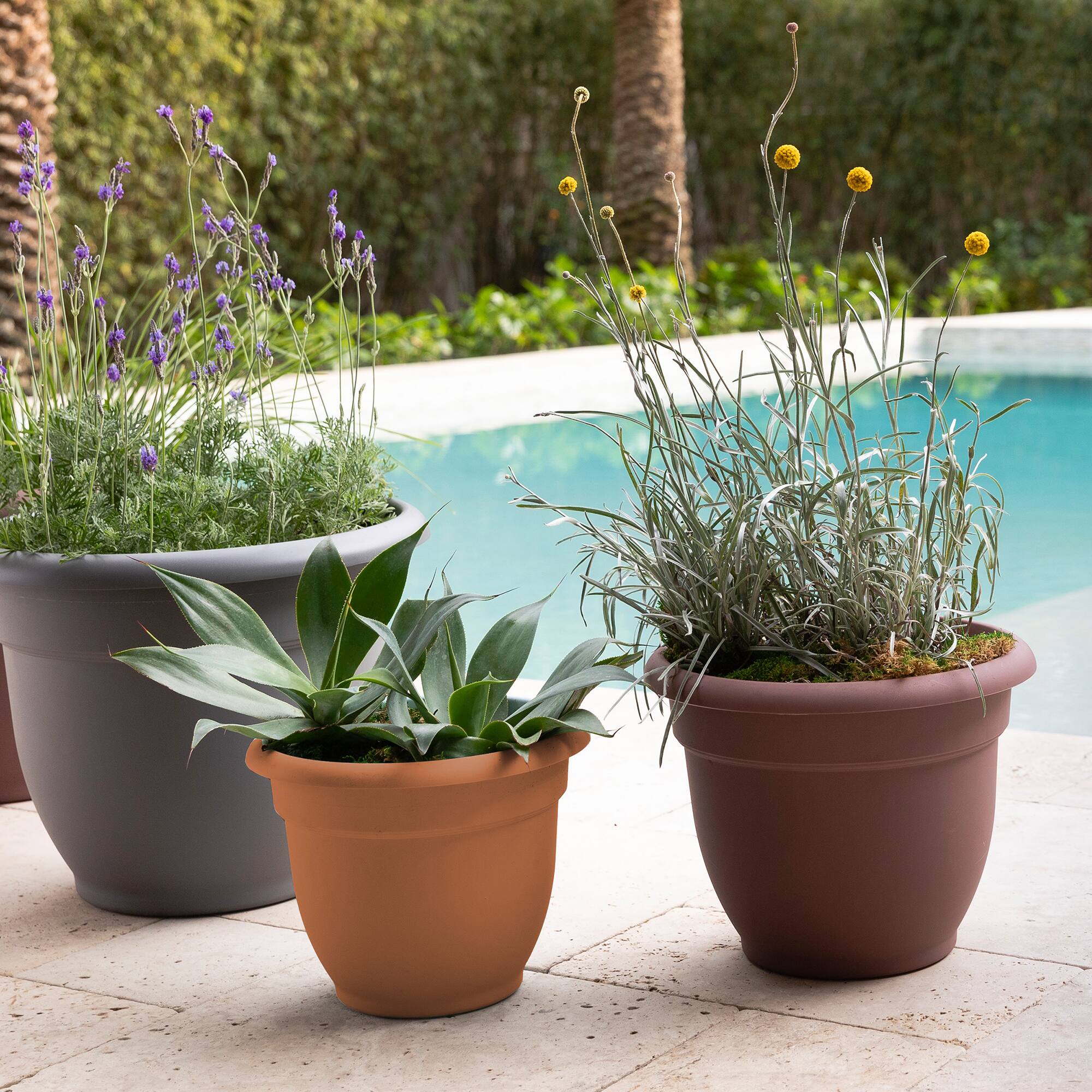 Alt View 4. Bloem - Terra Cotta 12" - Ariana Pot Planter.
