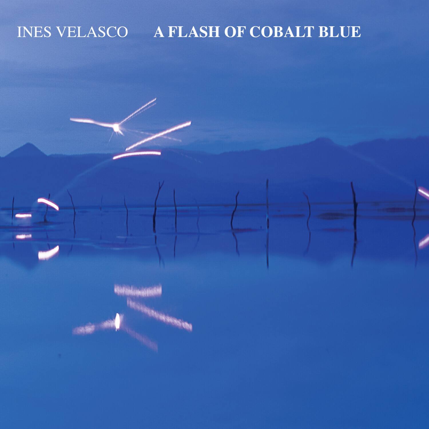 Ines Velasco - A Flash of Cobalt Blue   - COMPACT DISCS [CD] price history on PriceWatchPro