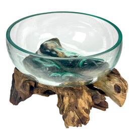Things2Die4 - Molten Glass Bowl on Driftwood 10" Hand Blown Decorative Centerpiece Planter - Natural