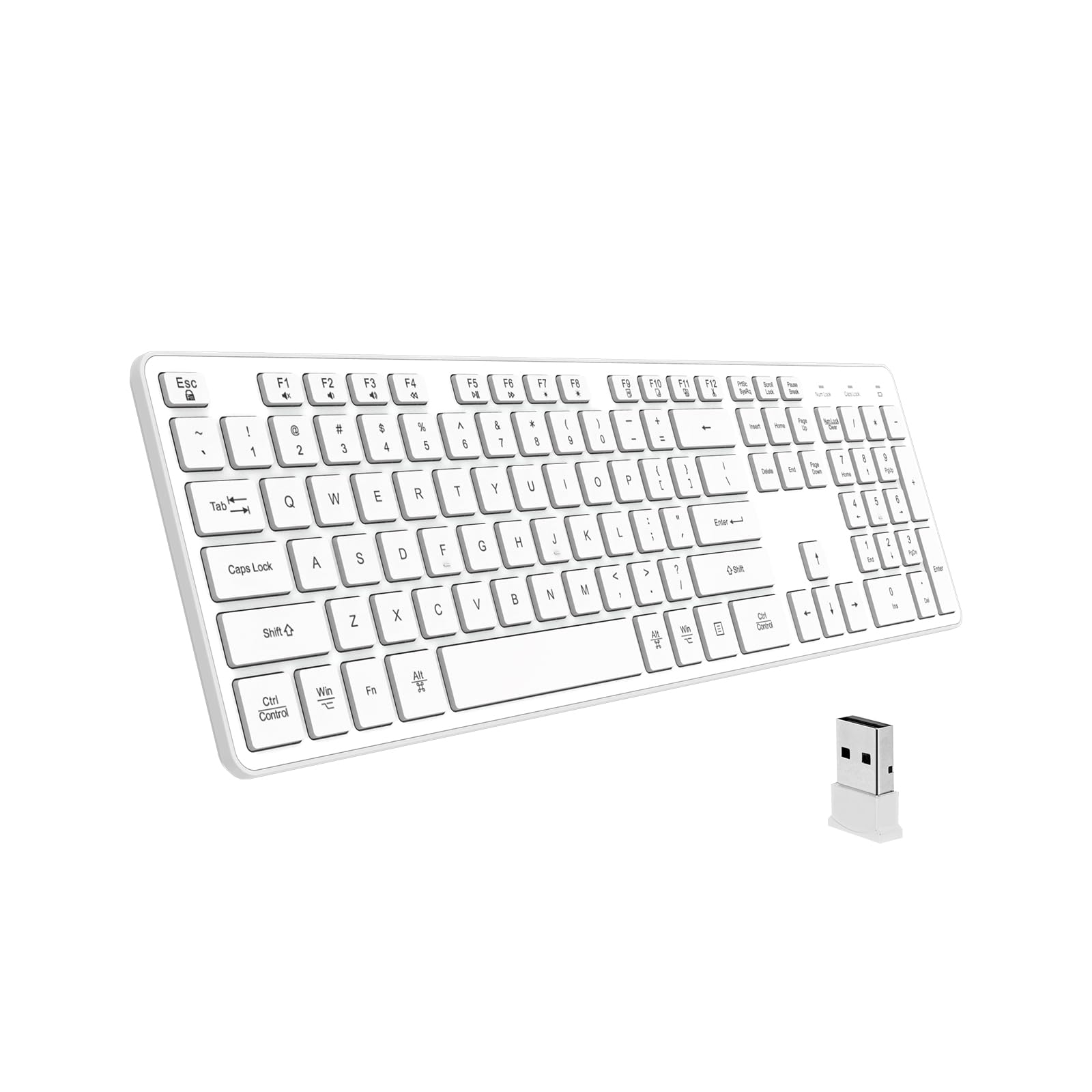 Sure, here is the corrected and grouped text from the image:

```
ESC F1 F2 F3 F4 F5 F6 F7 F8 F9 F10 F11 F12
1 2 3 4 5 6 7 8 9 0 - = Backspace
Tab Q W E R T Y U I O P [ ] \
Caps Lock A S D F G H J K L ; ' Return
Shift Z X C V B N M , . / Shift
Ctrl Win Fn Alt Spacebar
```

This text represents the layout of the keyboard shown in the image.