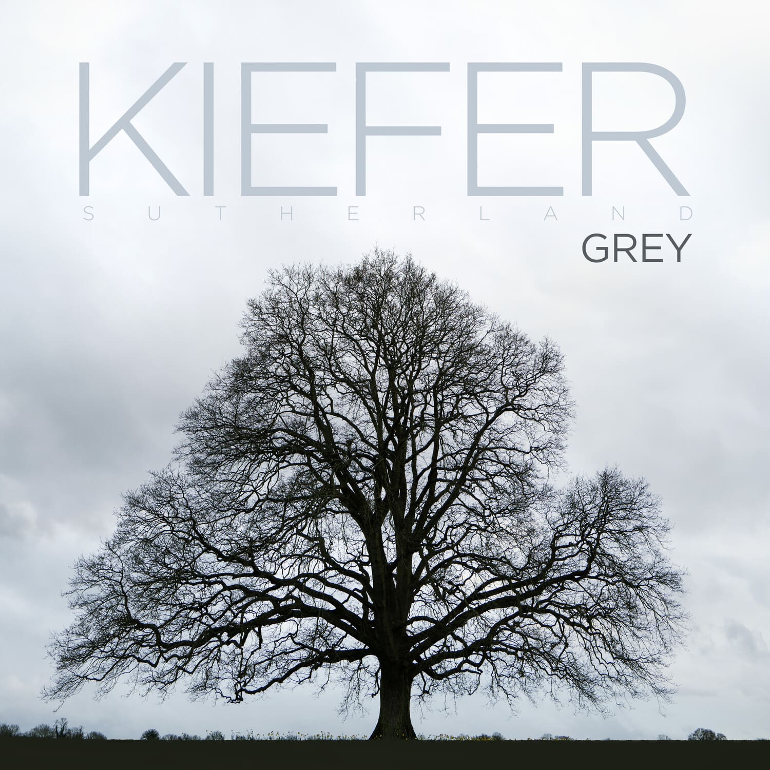 Kiefer Sutherland - Grey   - COMPACT DISCS [CD] price history on PriceWatchPro