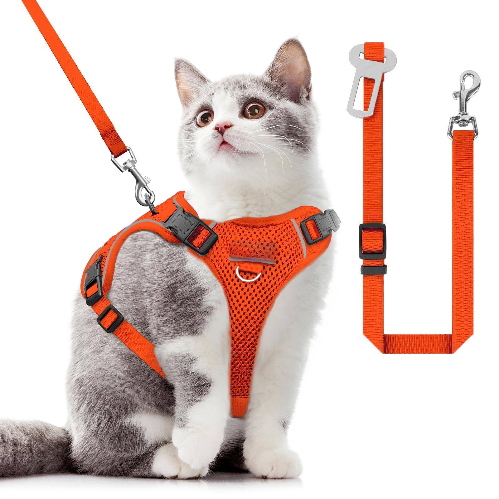 Orange-Medium (13-18lb)