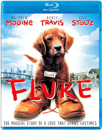 Front. Fluke - BLU-RAY.