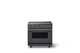 Viking - 36 in. Wide 6 Elements Pro 5 Series 5.6 Cu.Ft. Freestanding Induction Convection Range with Brushed Brass Trim - Cast Black