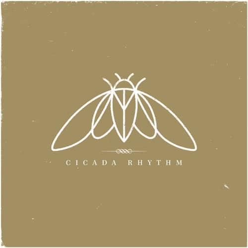 cicada rhythm - Cicada Rhythm   - VINYL LP
