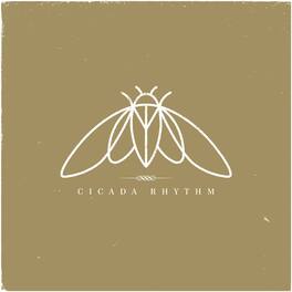 cicada rhythm - Cicada Rhythm - VINYL LP