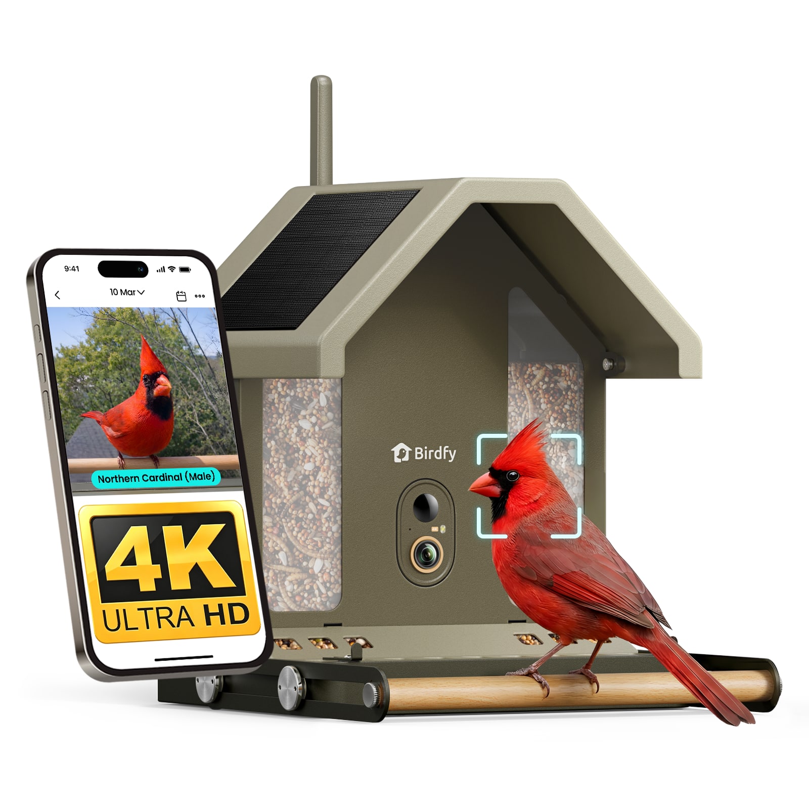 BIRDFY - Metal 2 4K Smart...