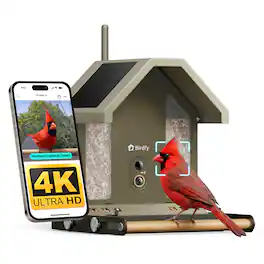 BIRDFY - Metal 2 4K Smart Bird Feeder with Camera, AI Lifetime Free, Dual-Band Wi-Fi, Night Vision, Solar Ready, Weatherproof - Moss Green