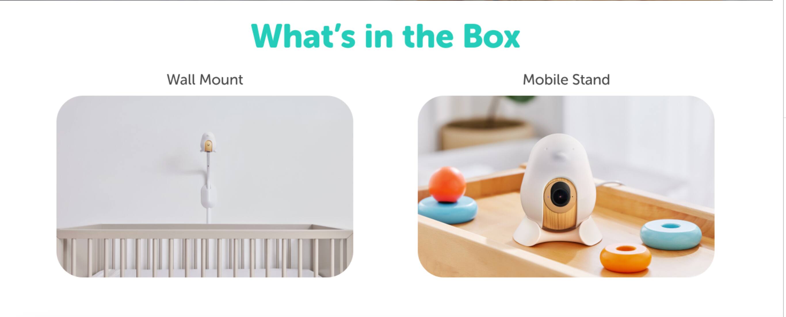 What's in the Box

Wall Mount

Mobile Stand