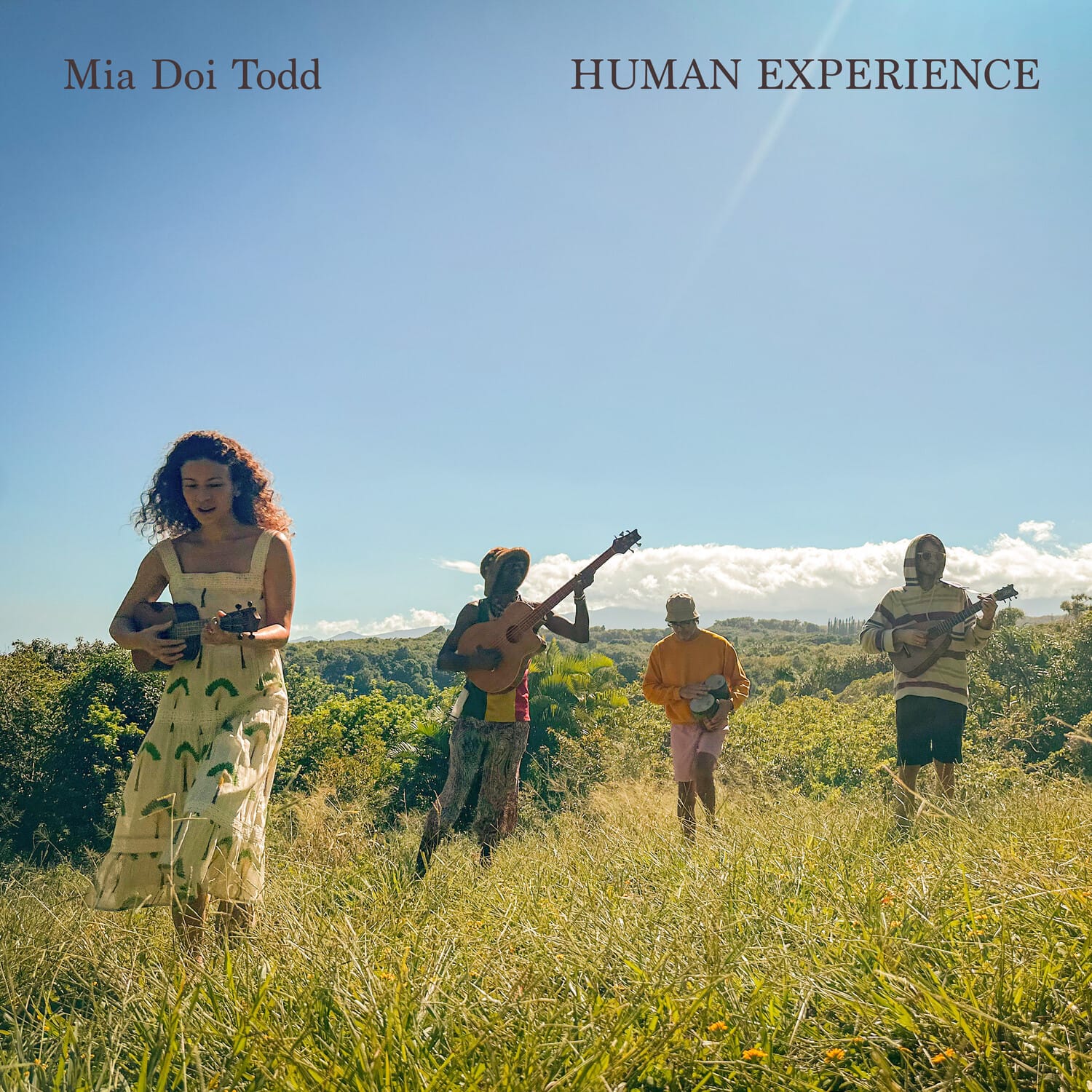 Mia Doi Todd - Human Experience   - VINYL LP price history on PriceWatchPro
