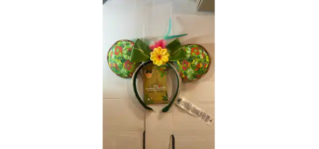 s/T - Disney MINNIE MOUSE N T -- F - -. d