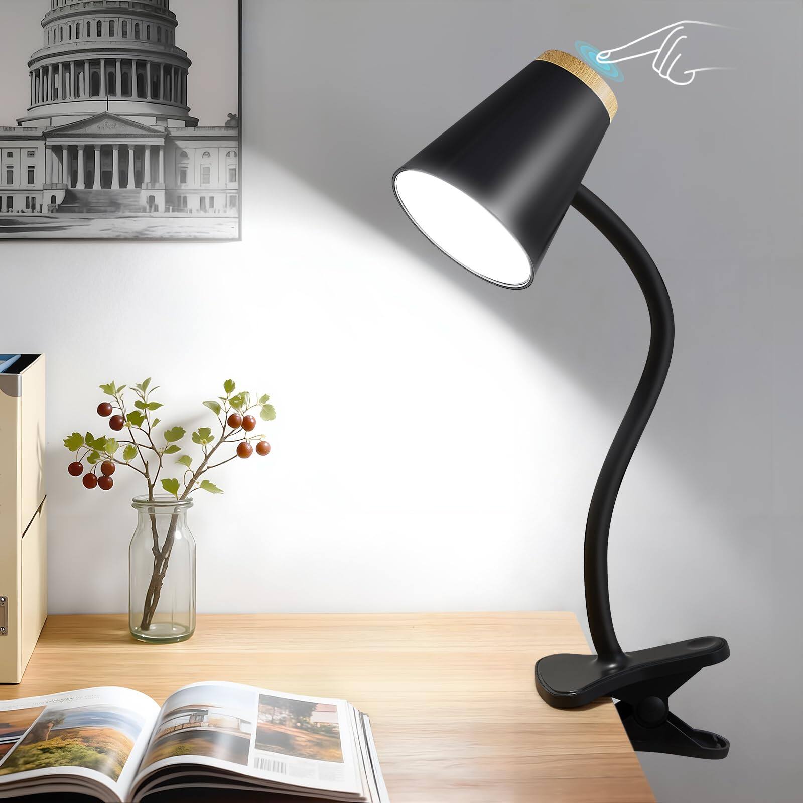 Black clip on desk lamp
