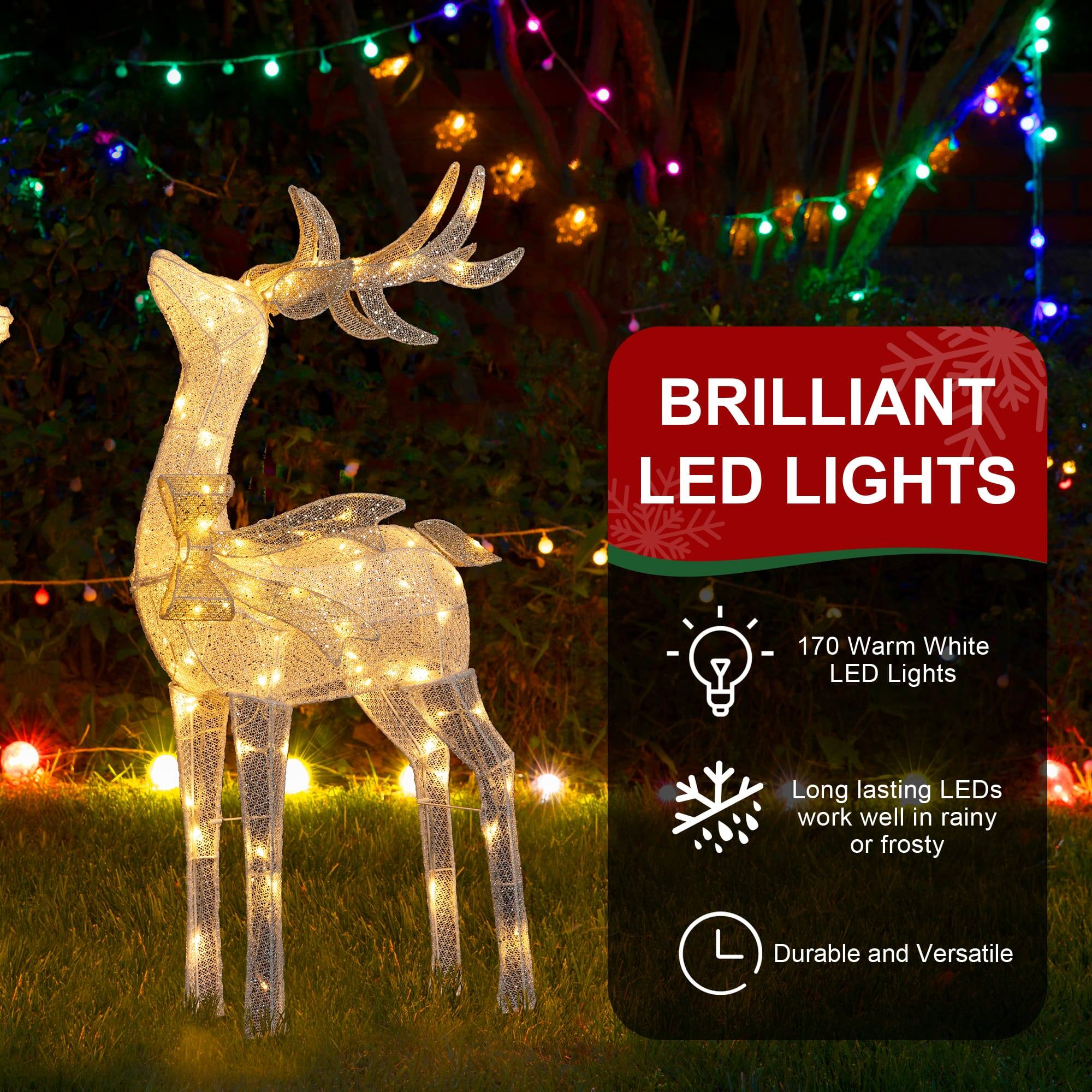BRILLIANT LED LIGHTS

170 Warm White LED Lights

Long lasting LEDs work well in rainy or frosty

Durable and Versatile