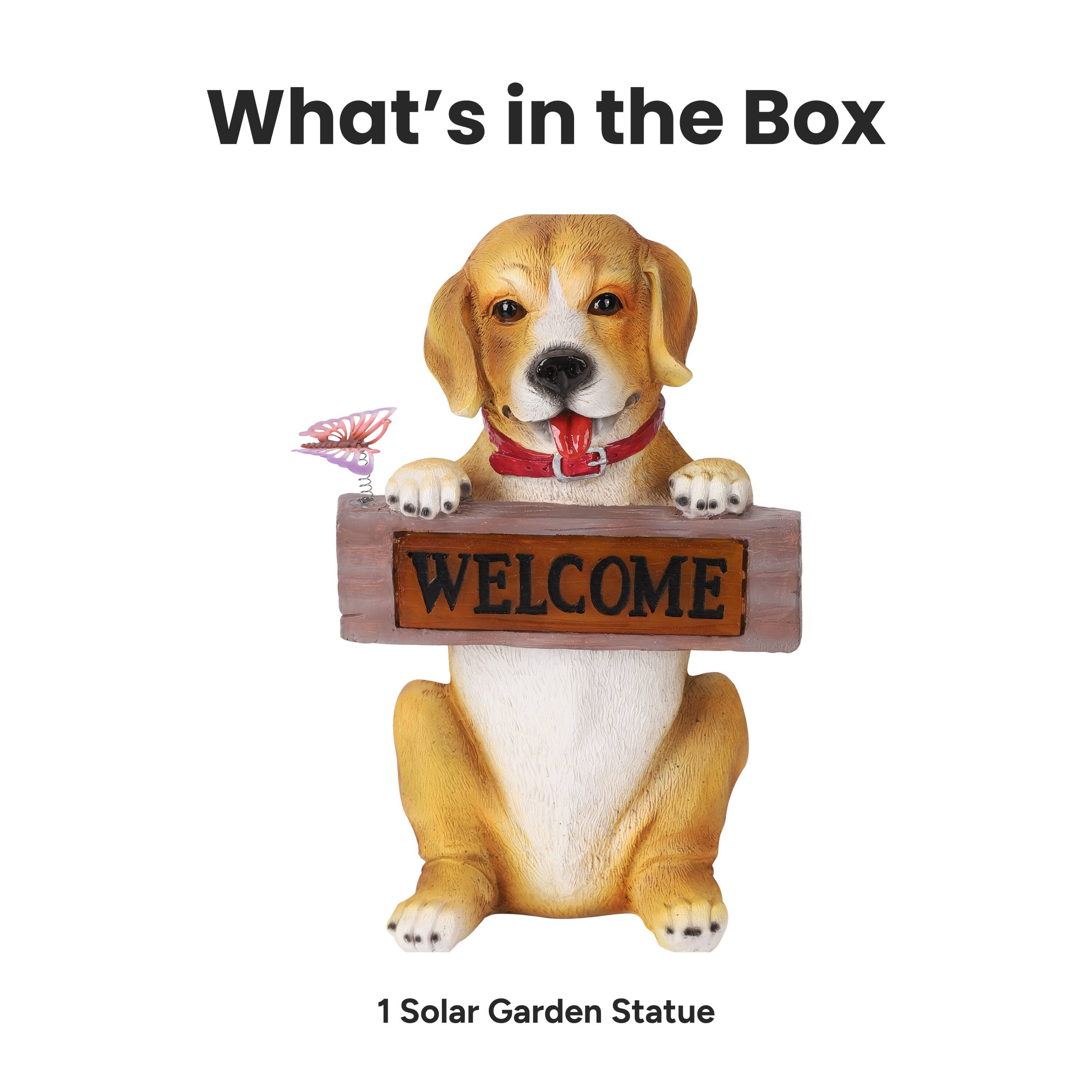 What's in the Box

1 Solar Garden Statue