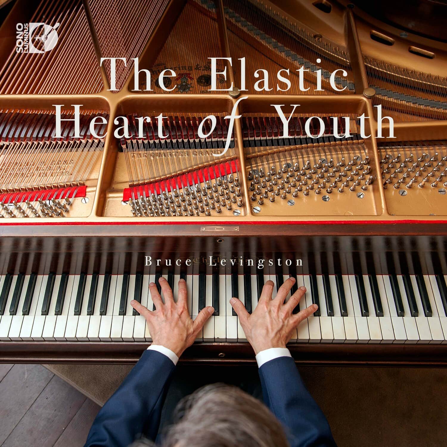 Bruce Levingston - The Elastic Heart of Youth   - COMPACT DISCS [CD] price history on PriceWatchPro