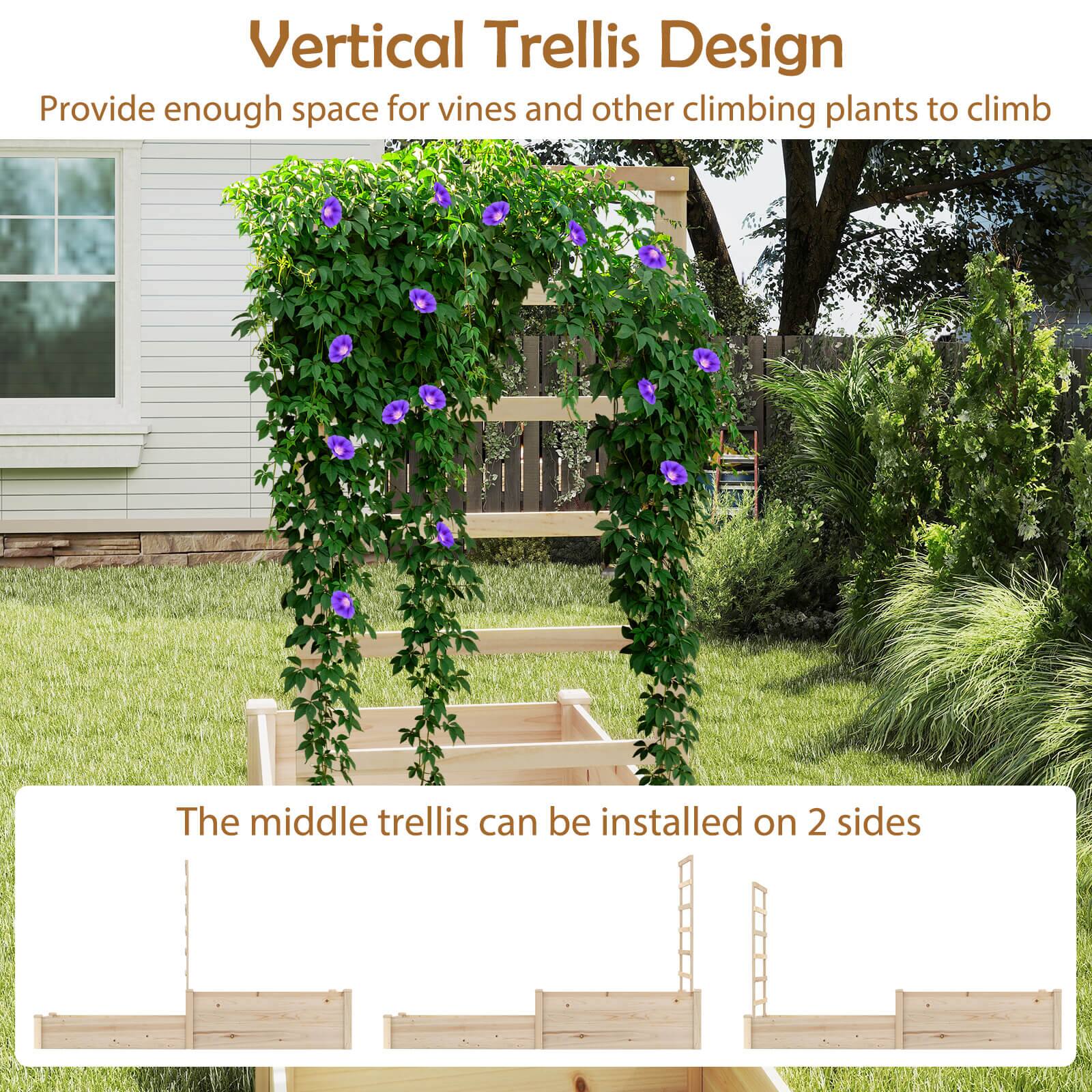 Vertical Trellis Design  
Provide enough space for vines and other climbing plants to climb  

The middle trellis can be installed on 2 sides